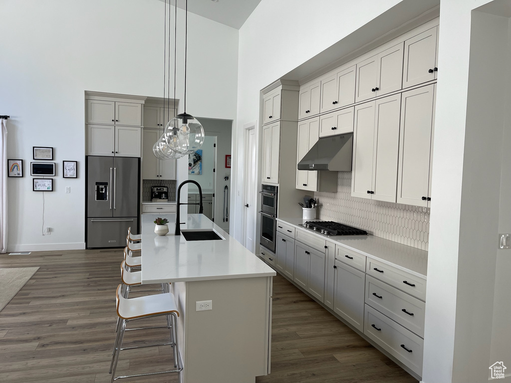 Kitchen with decorative backsplash, under cabinet range hood, appliances with stainless steel finishes, a sink, and a high ceiling