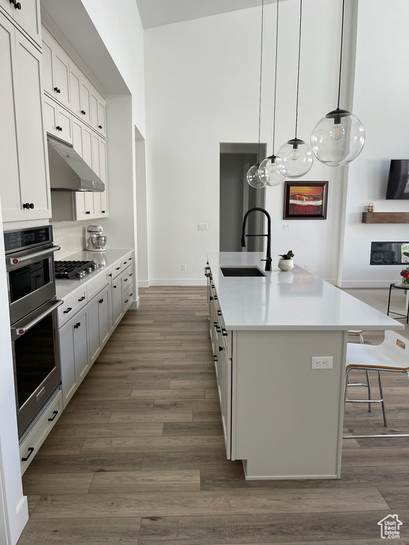 Kitchen with stainless steel appliances, dark wood-style flooring, under cabinet range hood, and a sink