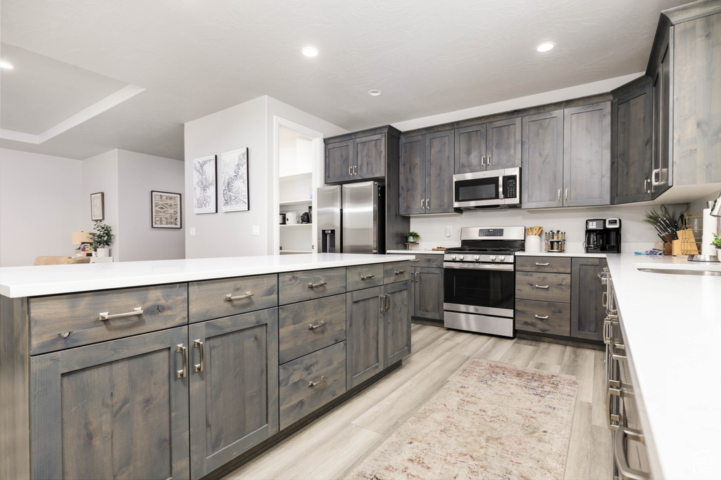 Kitchen with appliances with stainless steel finishes, light wood-style floors, light countertops, recessed lighting, and a sink