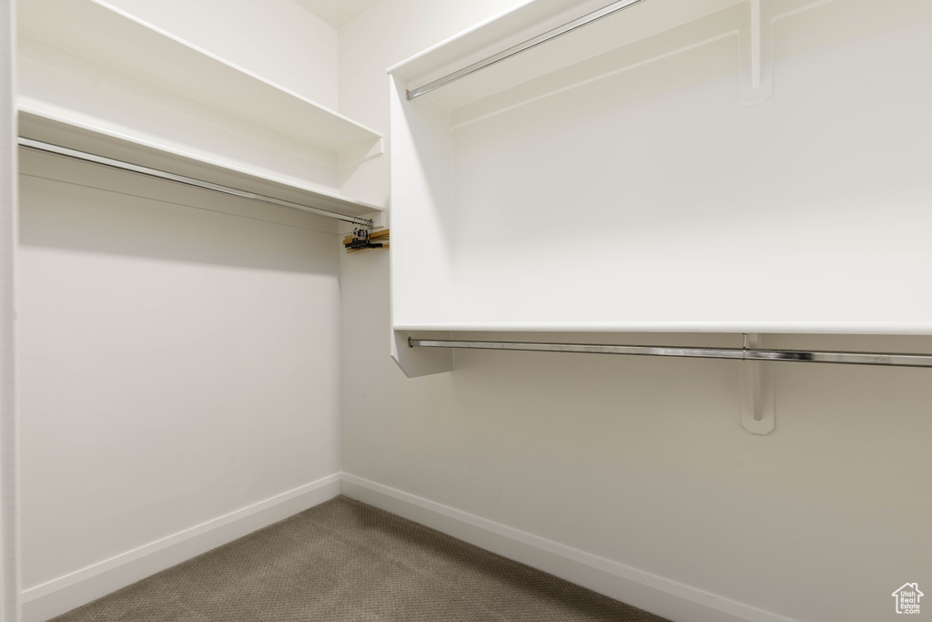 Walk in closet with carpet flooring