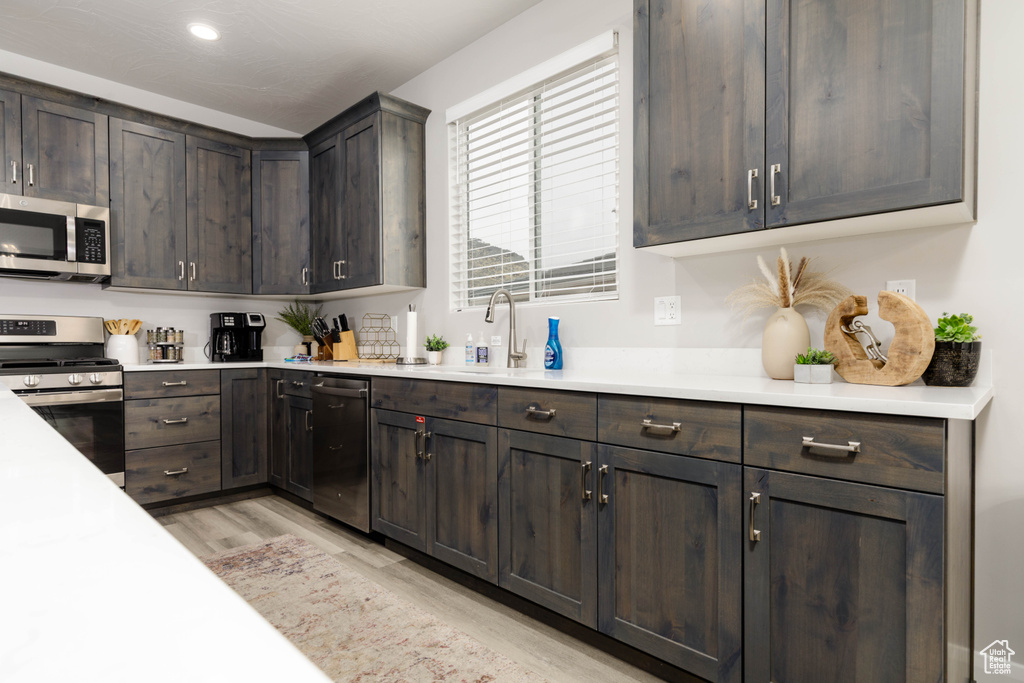 Kitchen featuring appliances with stainless steel finishes, dark brown cabinets, light wood-style floors, light countertops, and recessed lighting