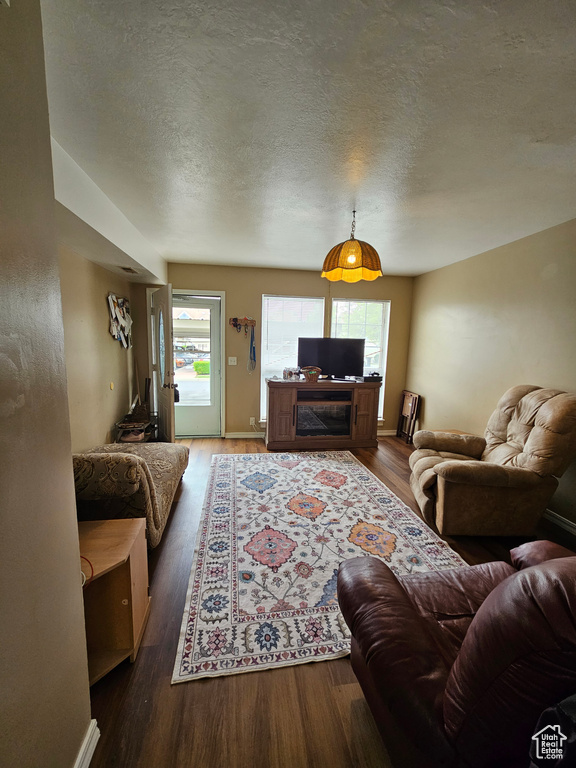Living room with wood finished floors, healthy amount of natural light, and a textured ceiling