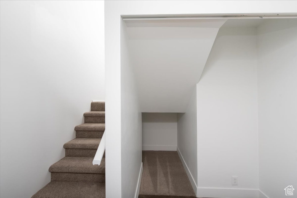 Stairway with baseboards and carpet floors