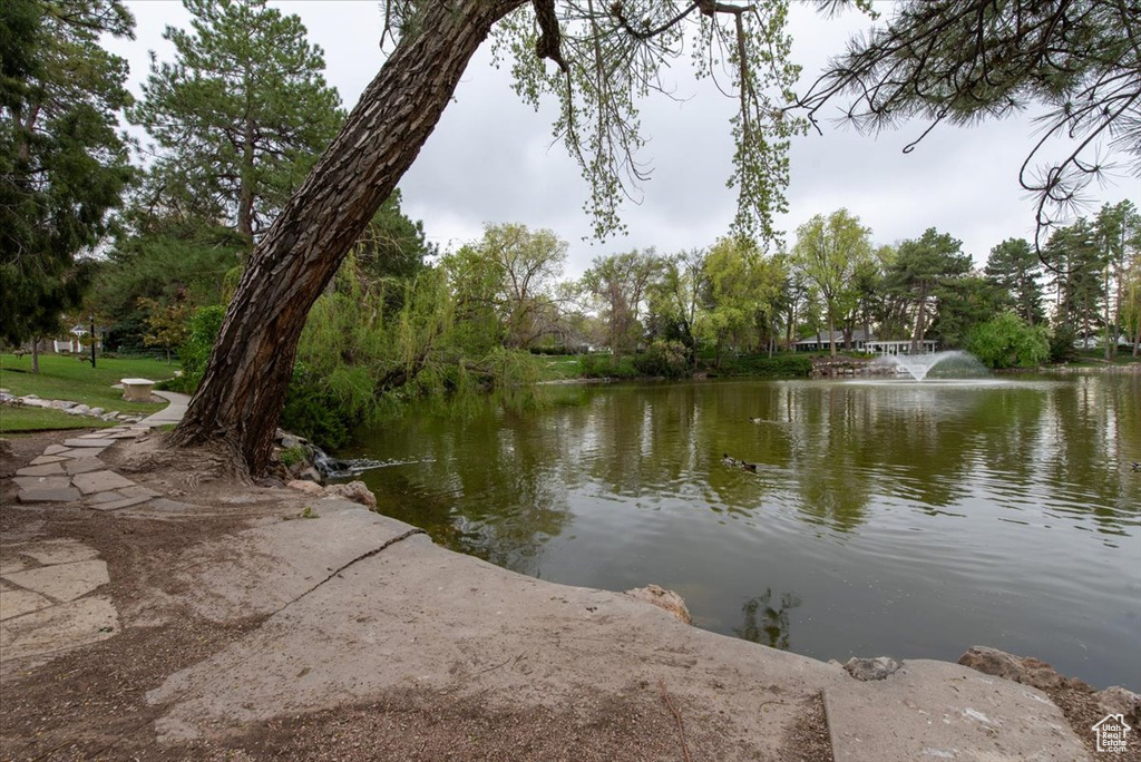 View of water feature