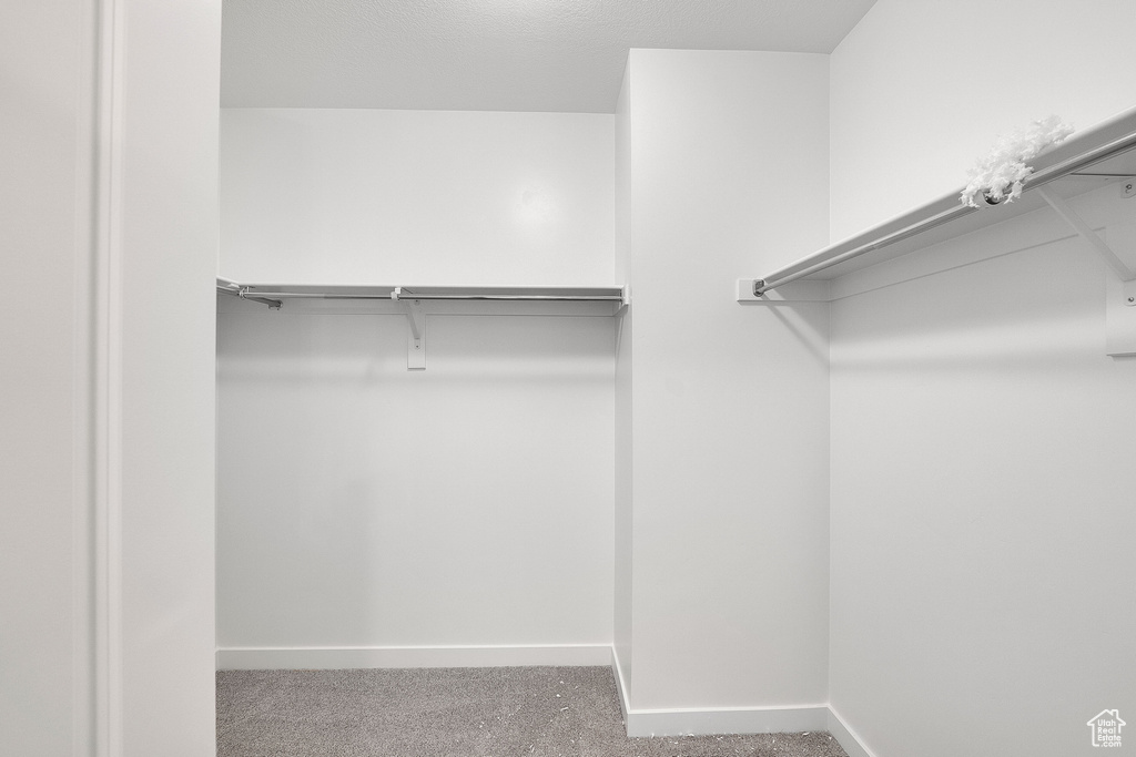 Spacious closet featuring carpet