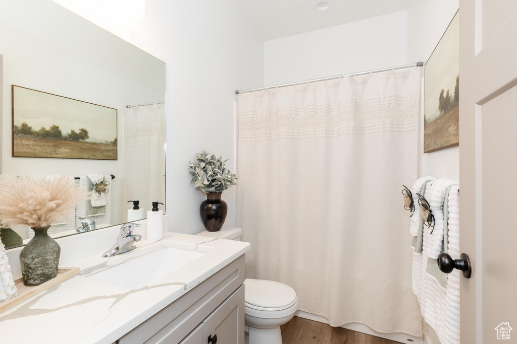 Full bathroom featuring curtained shower, wood finished floors, toilet, and vanity