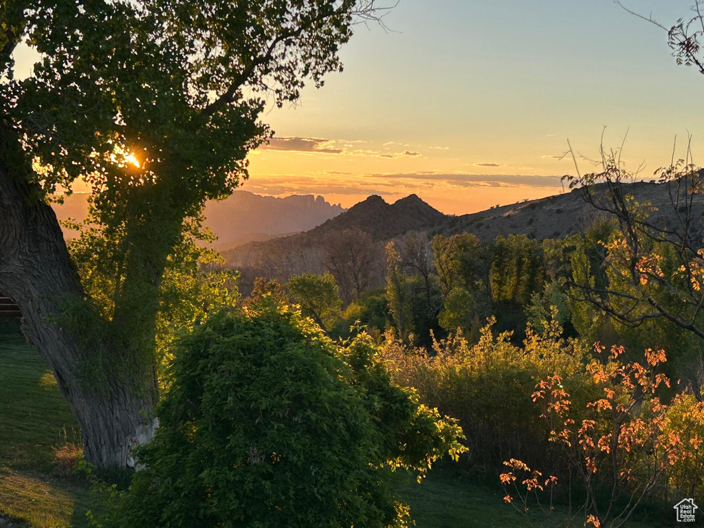 Mountain view
