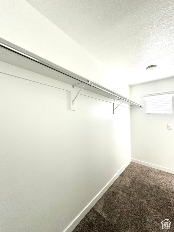 Walk in closet featuring carpet floors