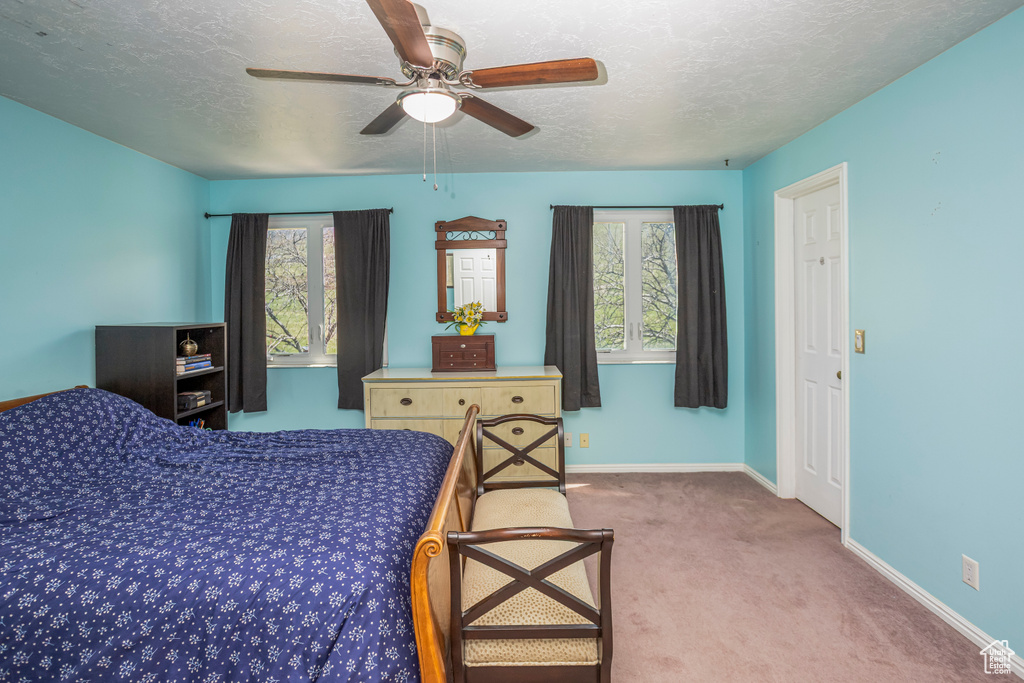 Carpeted bedroom with a textured ceiling, multiple windows, and baseboards