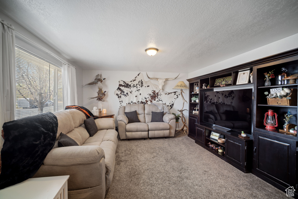 Living room with a textured ceiling and carpet flooring