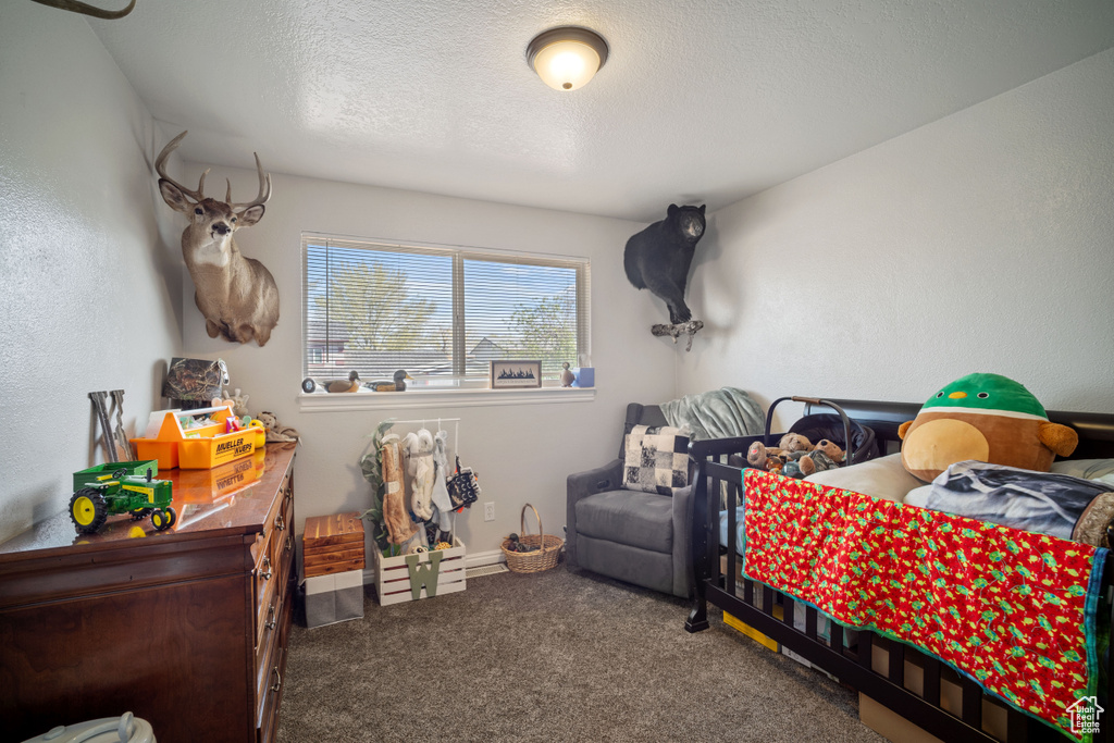 Carpeted bedroom featuring a textured ceiling