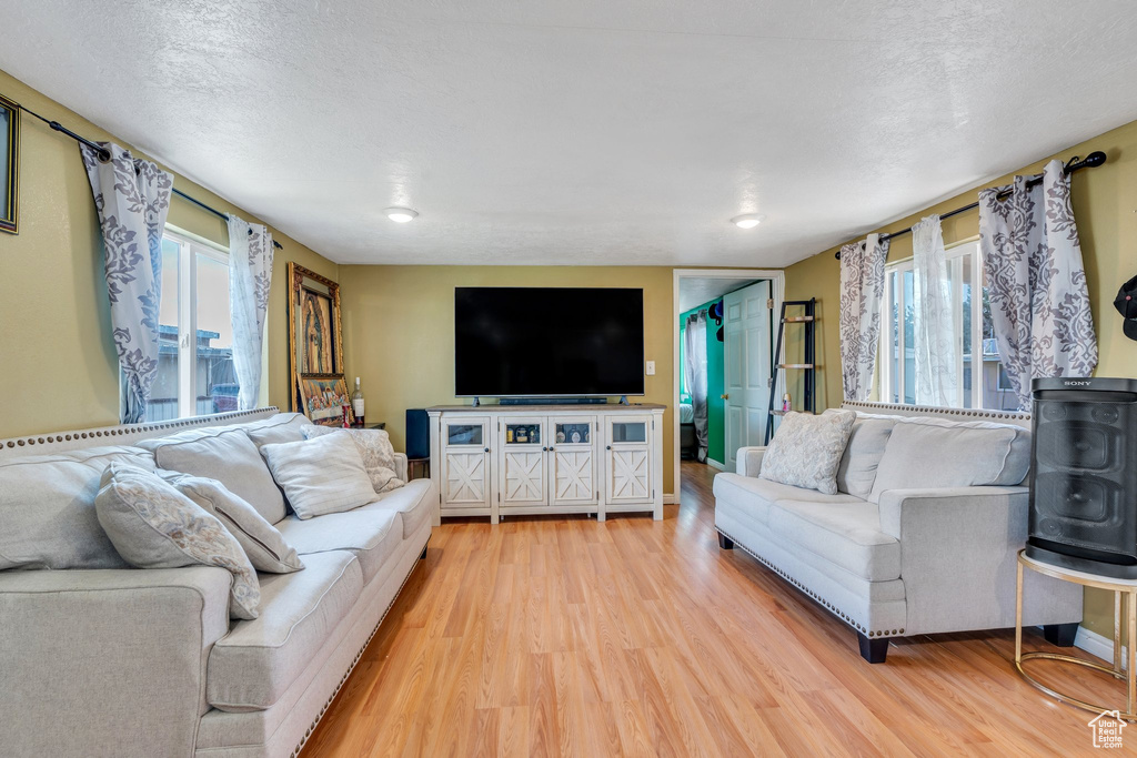 Living area with light wood-type flooring and a healthy amount of sunlight