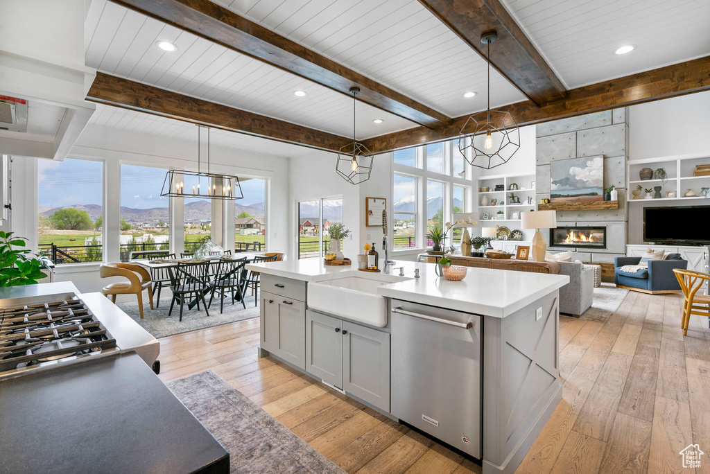 Kitchen featuring a healthy amount of sunlight, stainless steel dishwasher, light wood-style flooring, and a sink