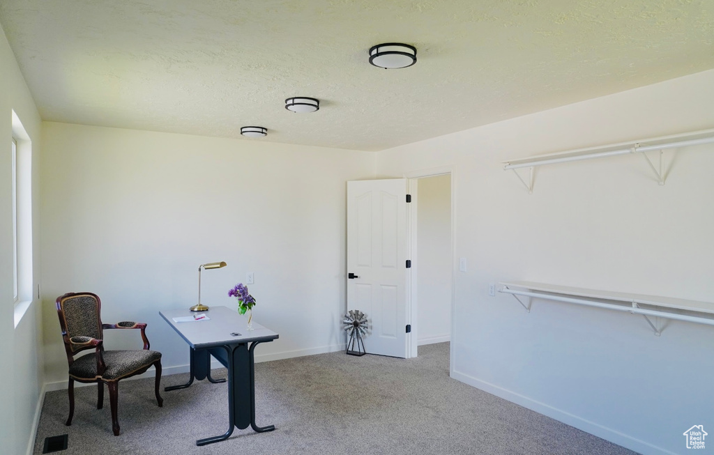 Interior space with visible vents, carpet, and baseboards