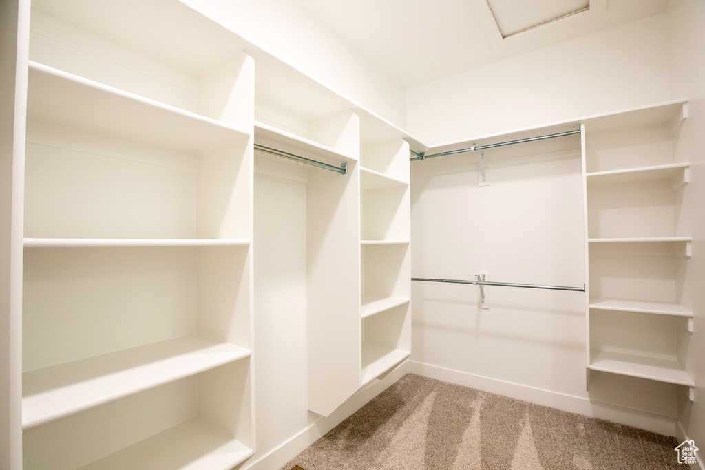 Walk in closet featuring attic access and carpet floors