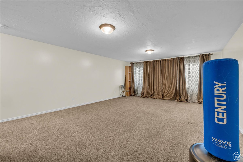 Interior space with a textured ceiling, carpet, and baseboards