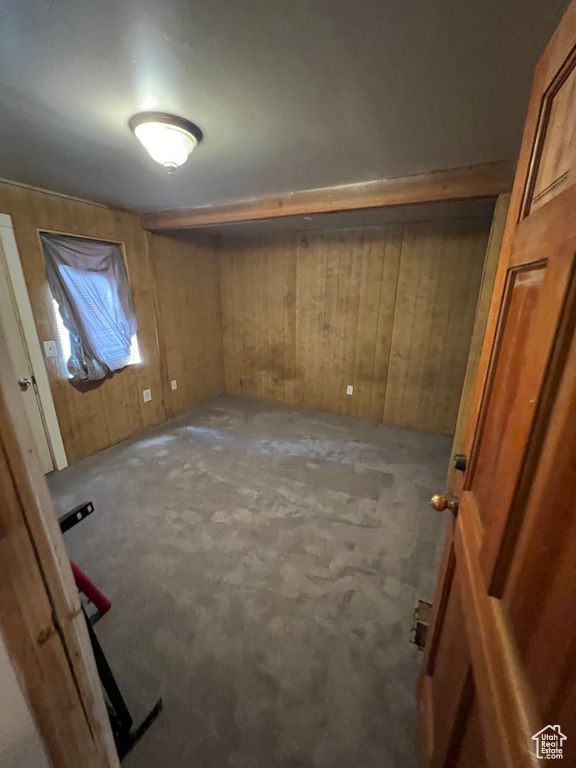 Interior space featuring wood walls and carpet