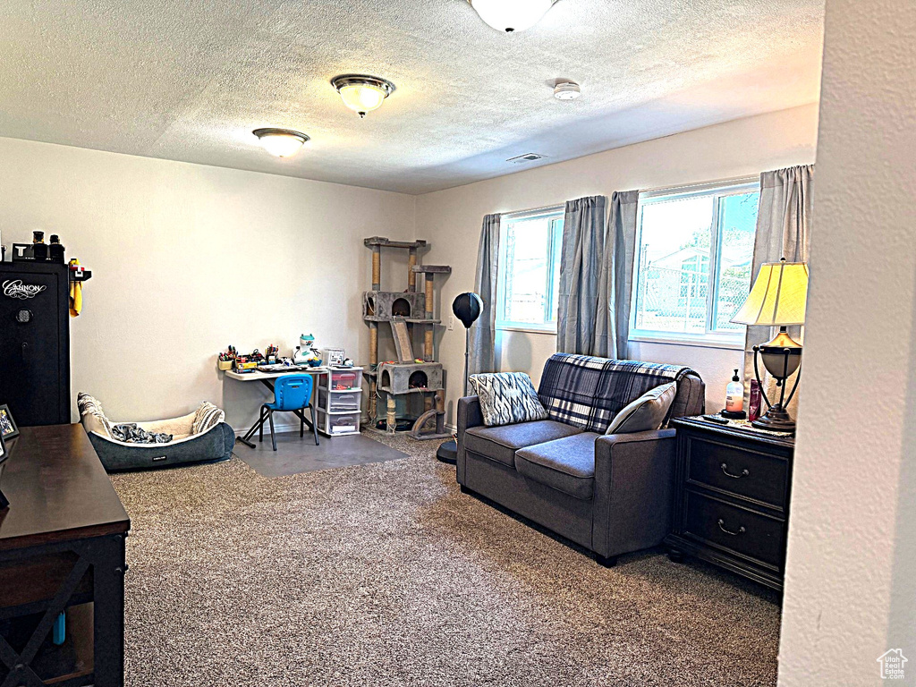 Carpeted living area featuring a textured ceiling