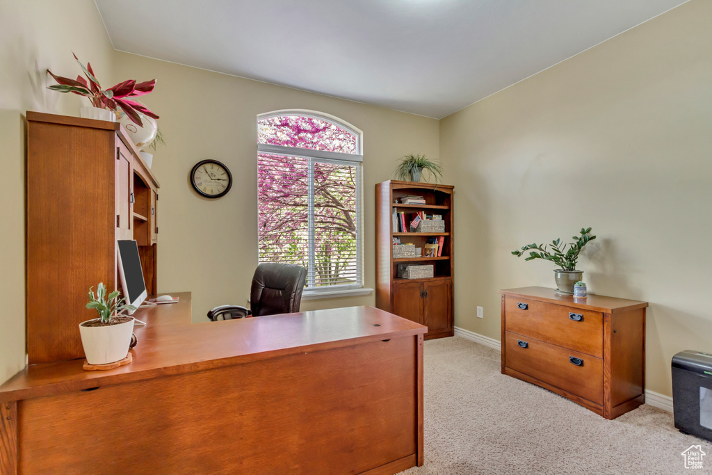 Office featuring light carpet and baseboards