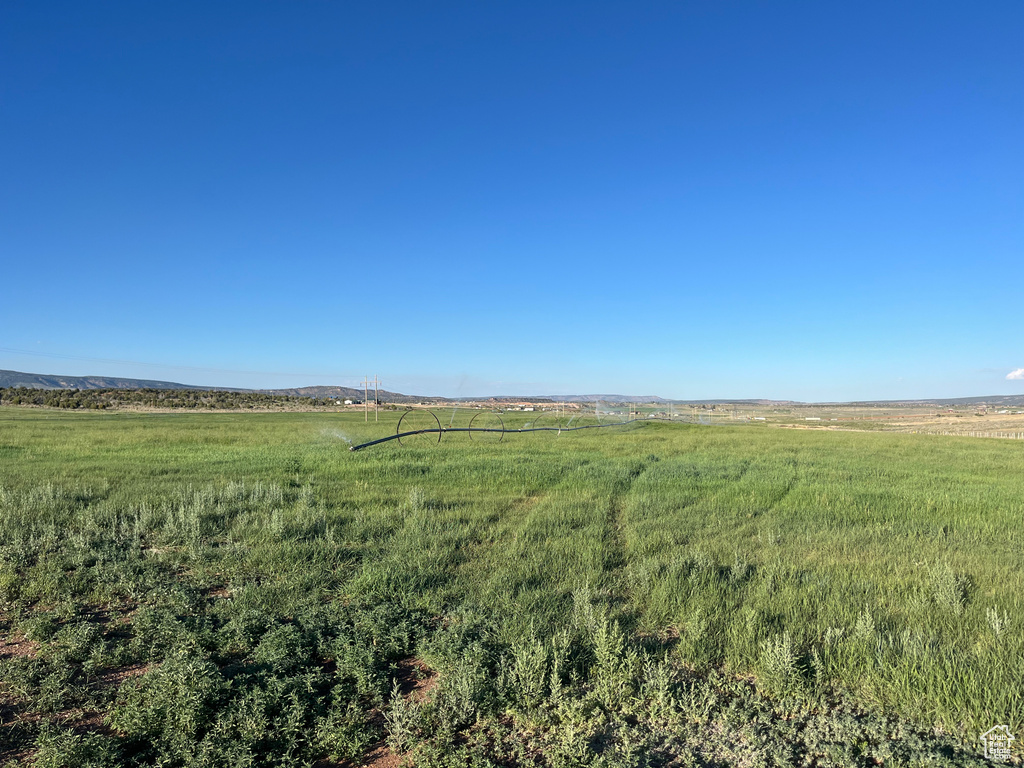 View of local wilderness with a rural view