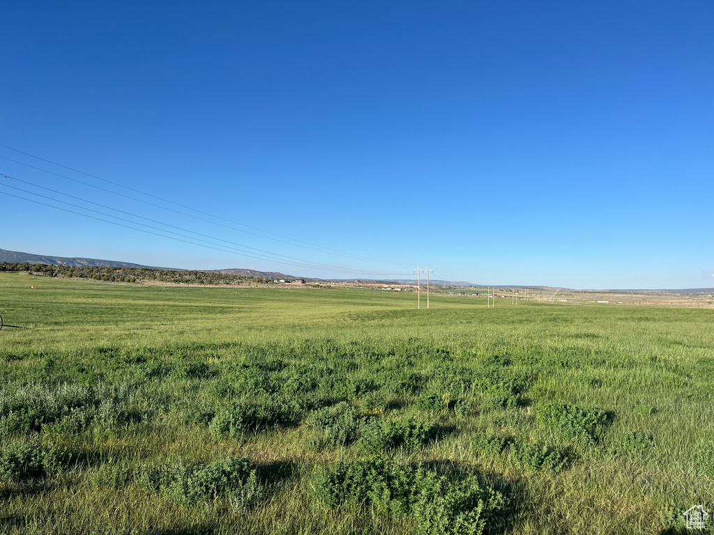 View of local wilderness featuring a rural view