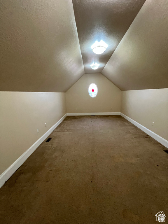 Additional living space with baseboards, a textured ceiling, carpet, and vaulted ceiling