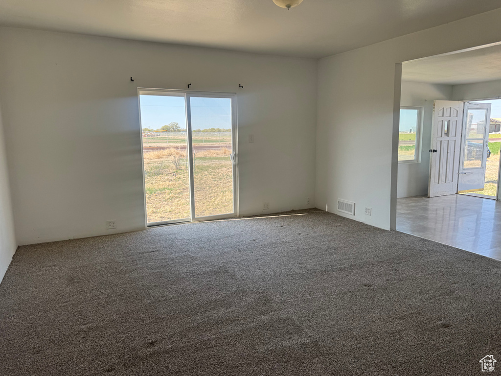 Empty room with a wealth of natural light, carpet flooring, and visible vents