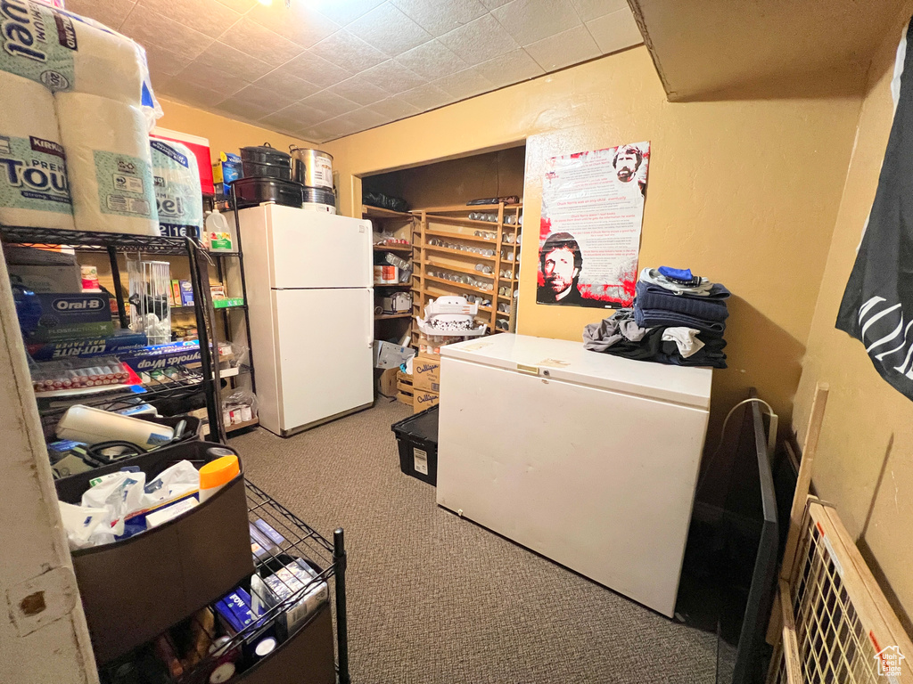Laundry room with carpet flooring