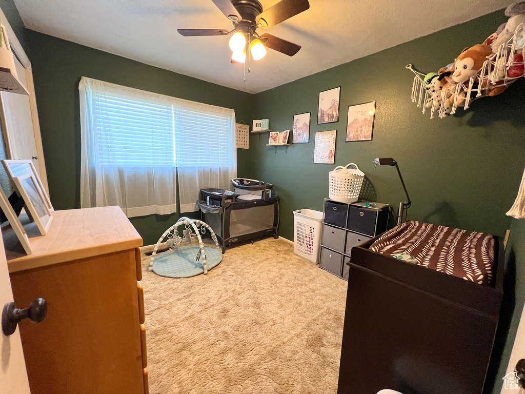 Office space featuring a ceiling fan and carpet flooring