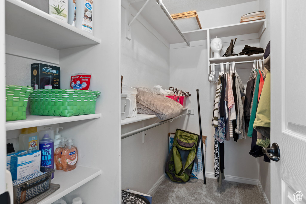 Walk in closet with carpet flooring