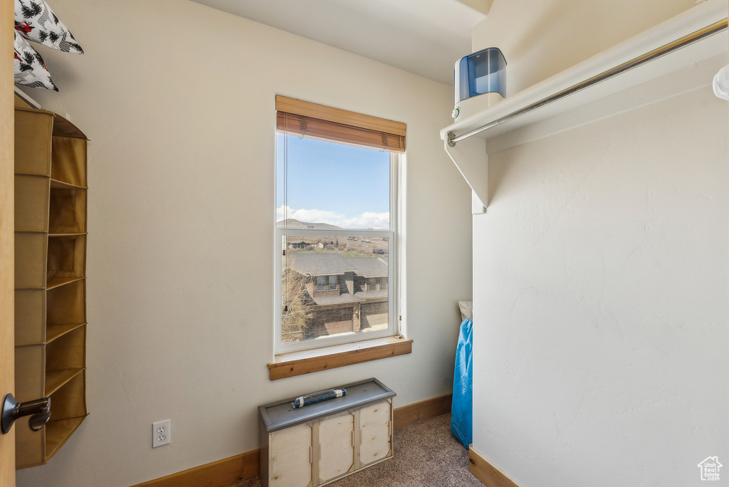 Spacious closet with carpet