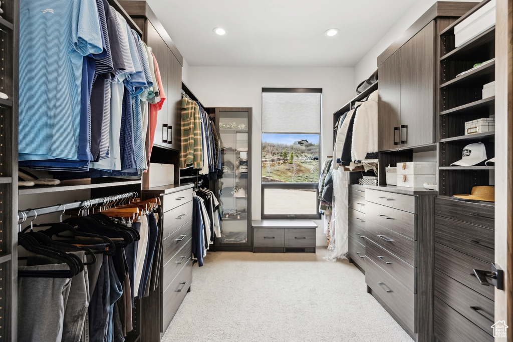 Spacious closet featuring light colored carpet