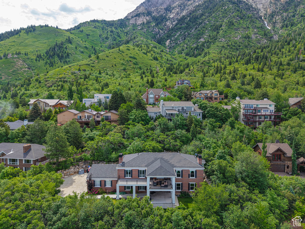 Bird's eye view of a forest and mountains