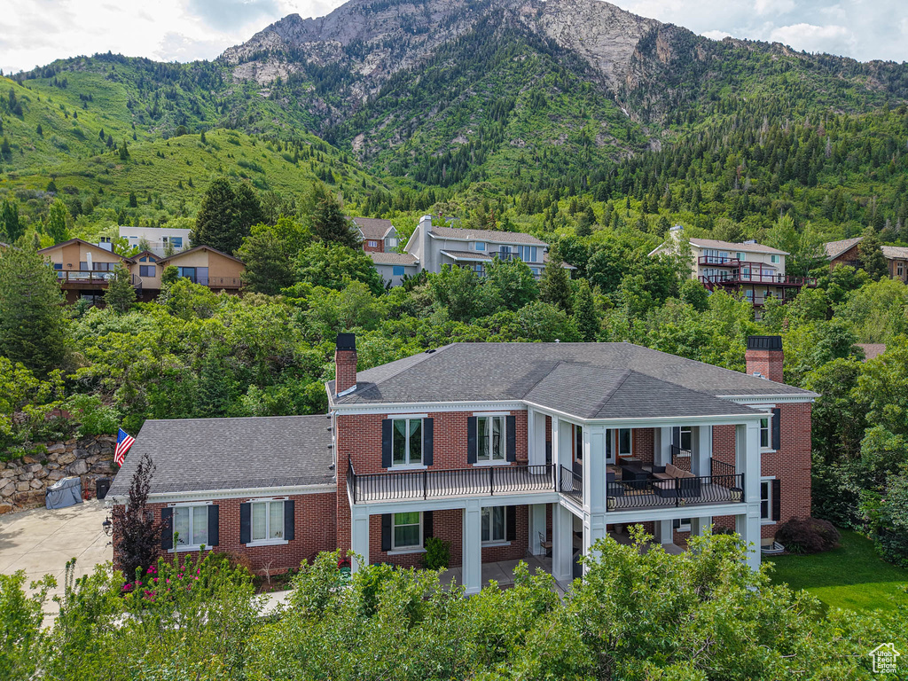 Mountain view with a forest