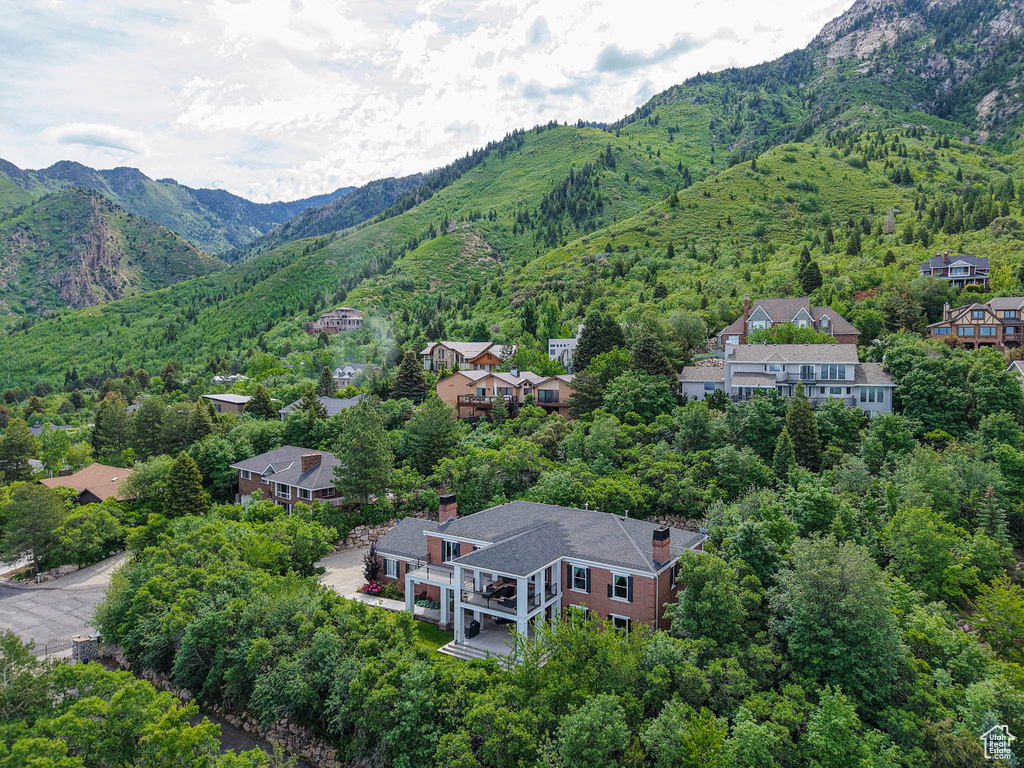 Bird's eye view of mountains and a forest