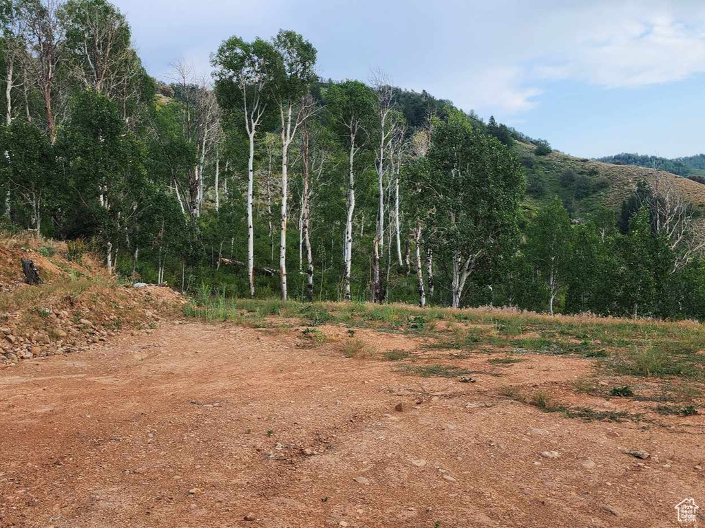 View of mountain feature