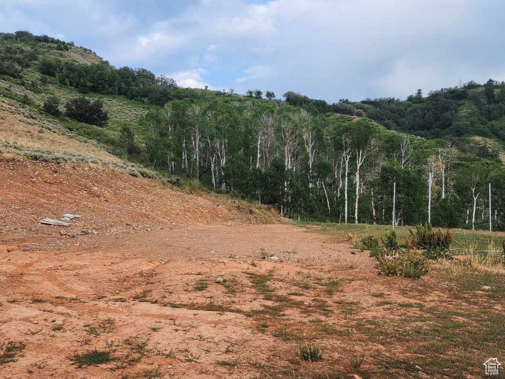View of nature