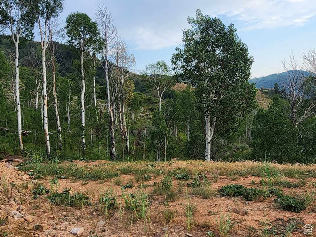 View of mountain feature