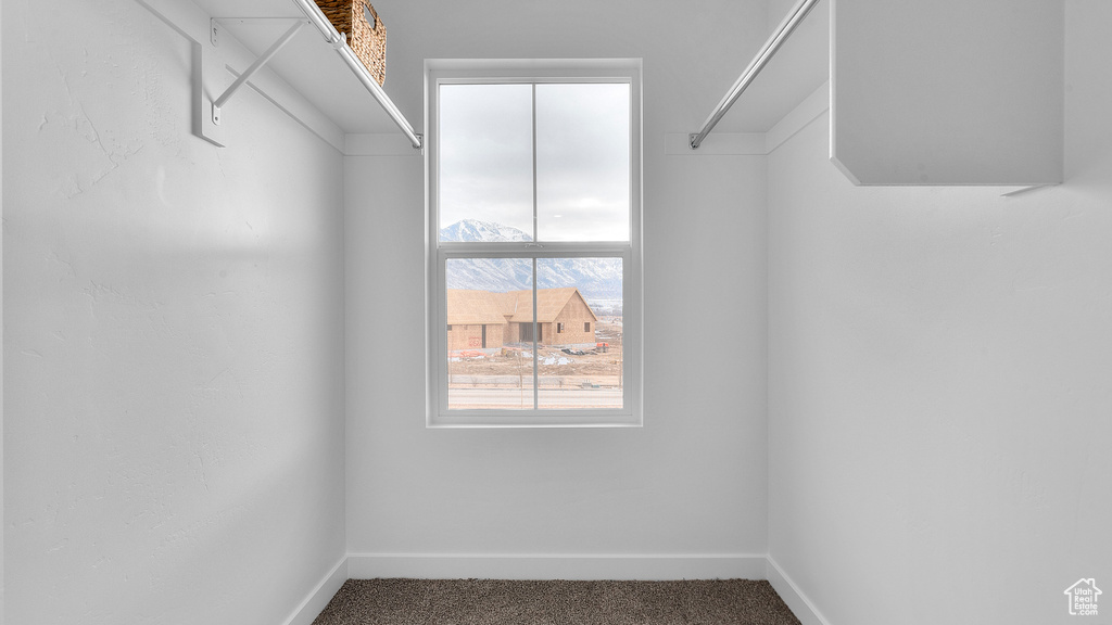 Spacious closet with carpet flooring