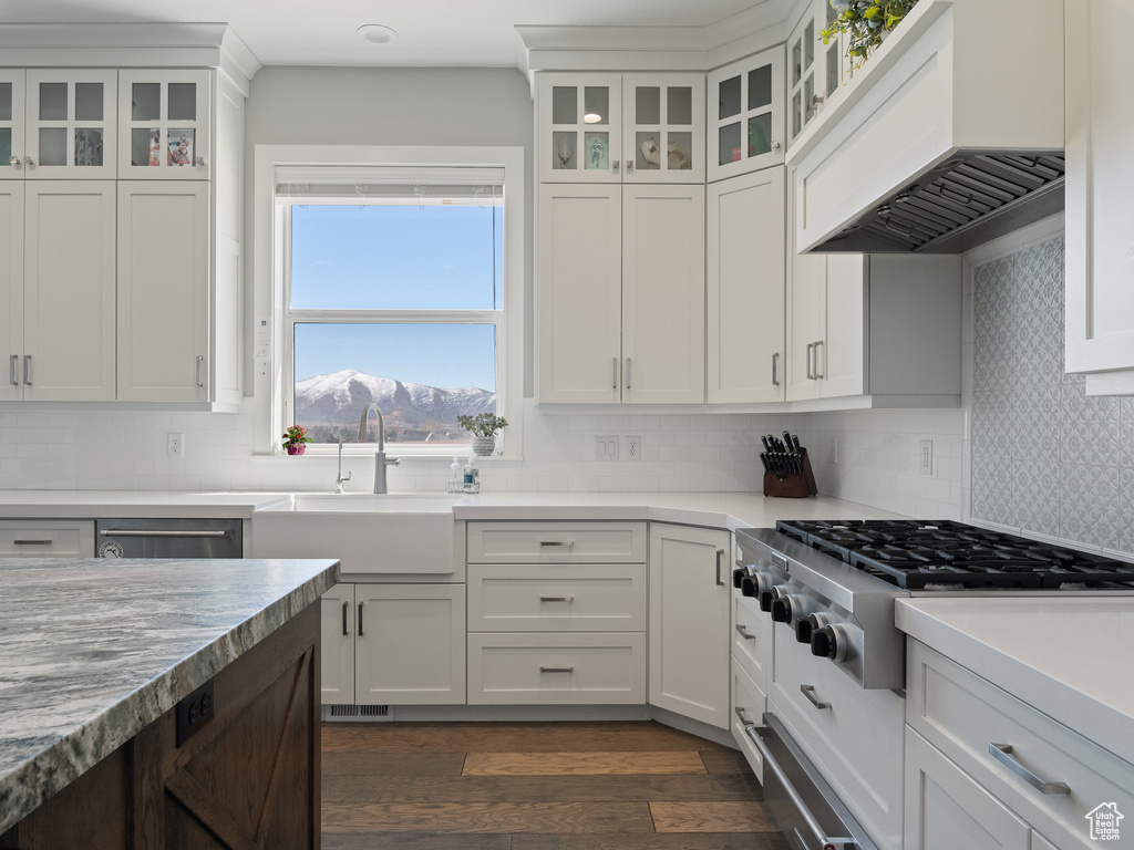Kitchen featuring white cabinetry, extractor fan, stainless steel gas cooktop, and a sink