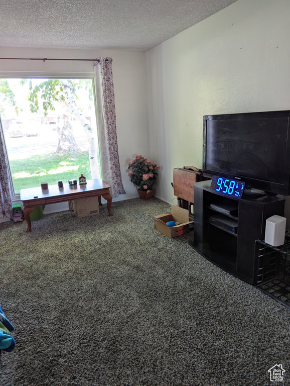 Game room with carpet floors and a textured ceiling