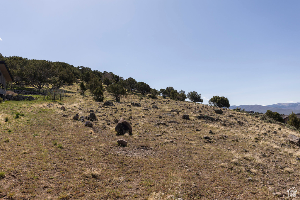 View of local wilderness