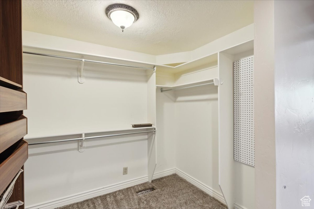 Spacious closet with carpet floors and visible vents