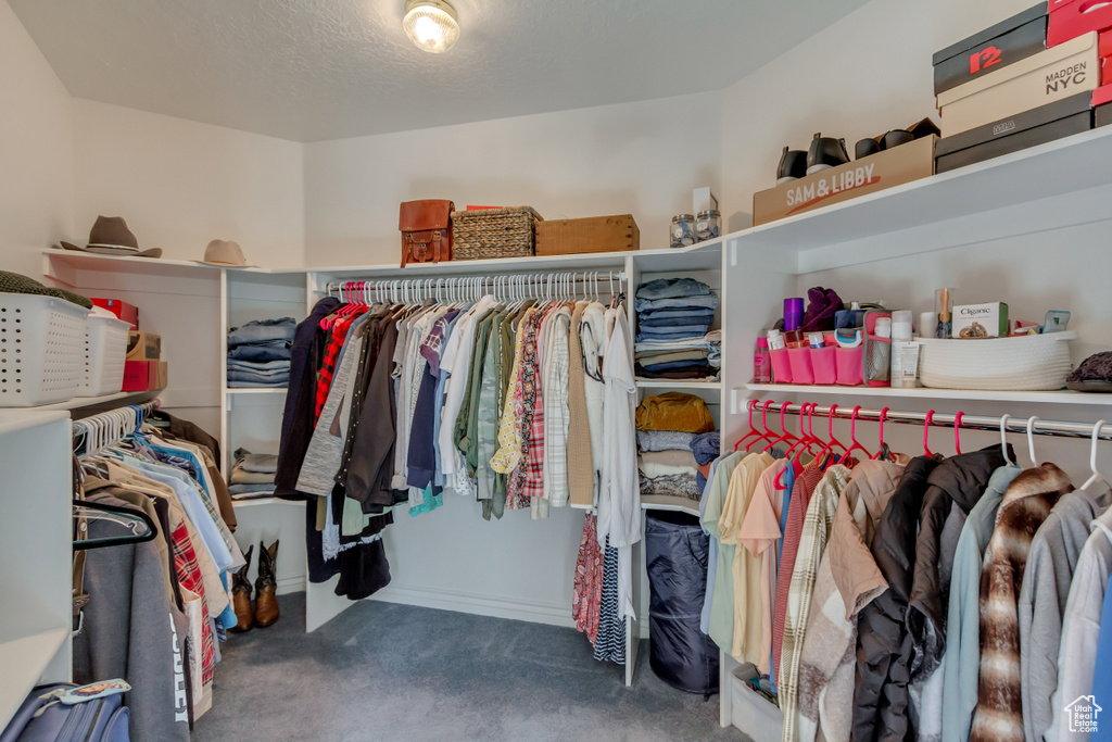 Walk in closet featuring carpet floors