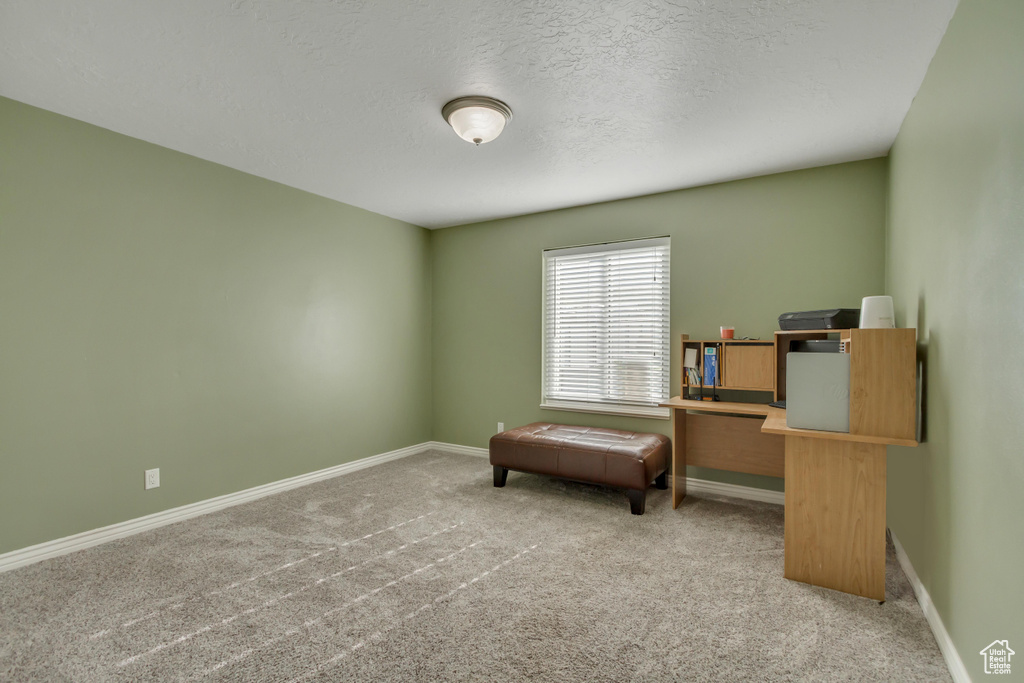 Sitting room with baseboards, a textured ceiling, and carpet flooring