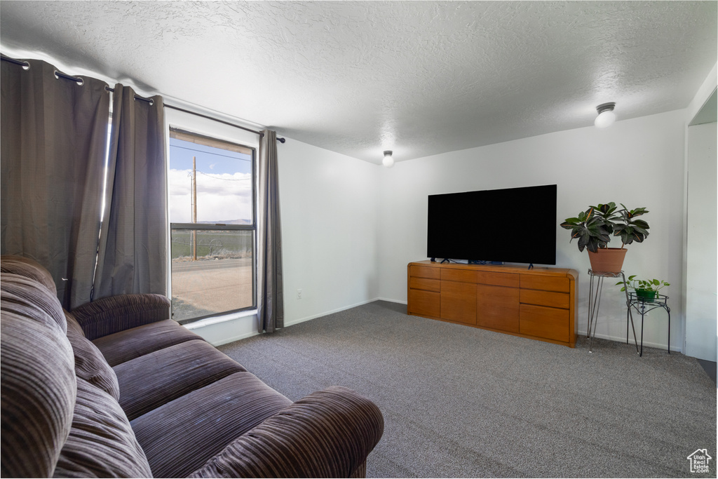 Carpeted living room with baseboards and a textured ceiling