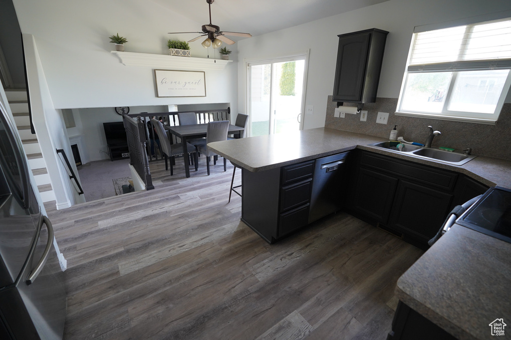 Kitchen featuring wood finished floors, a sink, a ceiling fan, a peninsula, and dishwashing machine