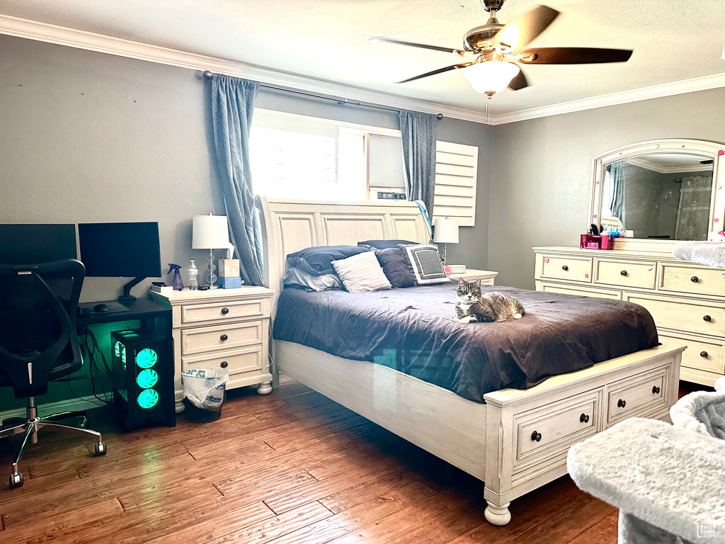 Bedroom with hardwood / wood-style flooring, crown molding, and a ceiling fan