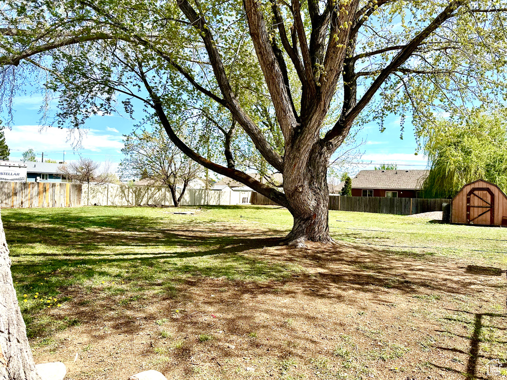 View of yard featuring fence, an outdoor structure, and a shed
