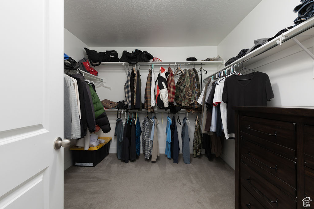 Spacious closet with carpet floors